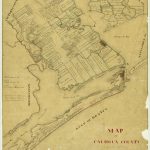1863 Map of Calhoun County