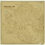 1873 Map of Goliad County